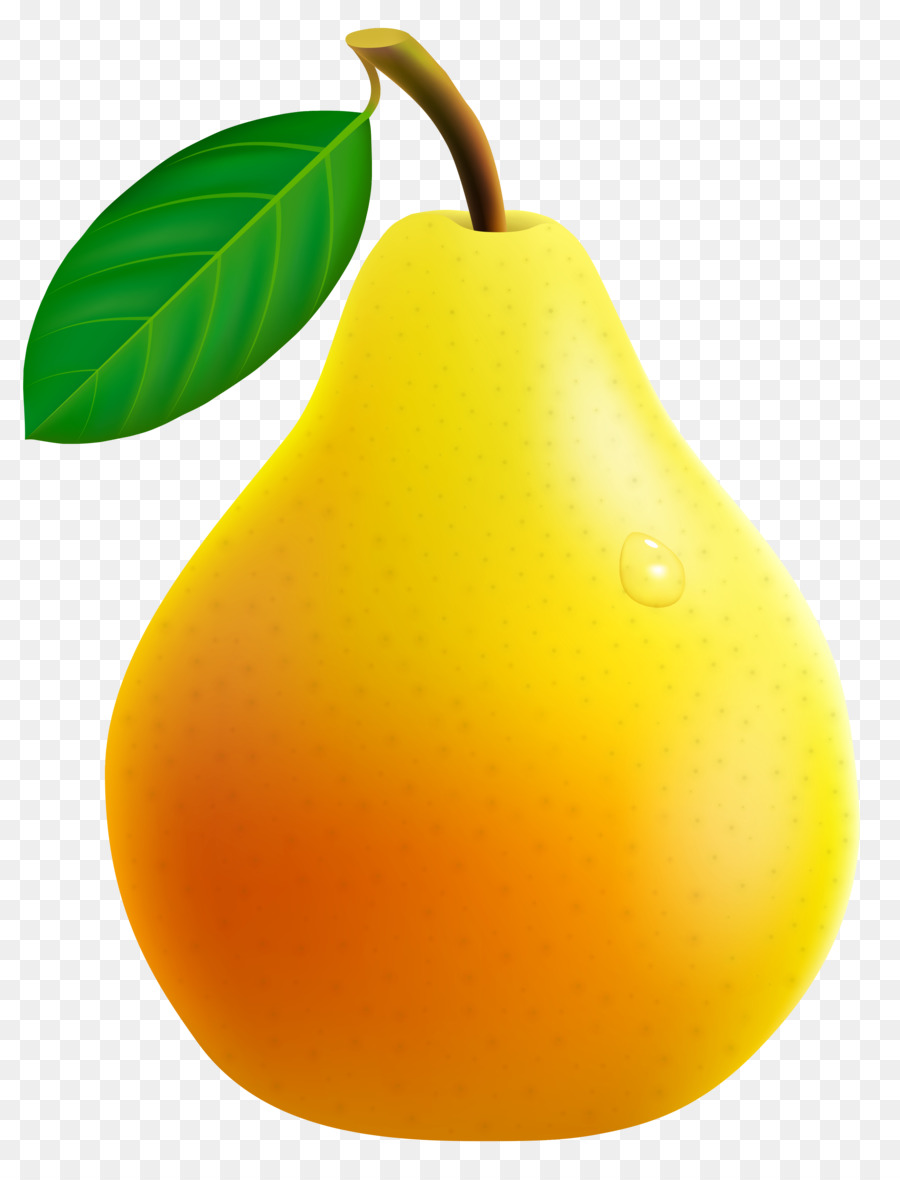 Pear Fruit Clip art - pear png download - 2761*3581 - Free Transparent Pear png Download.