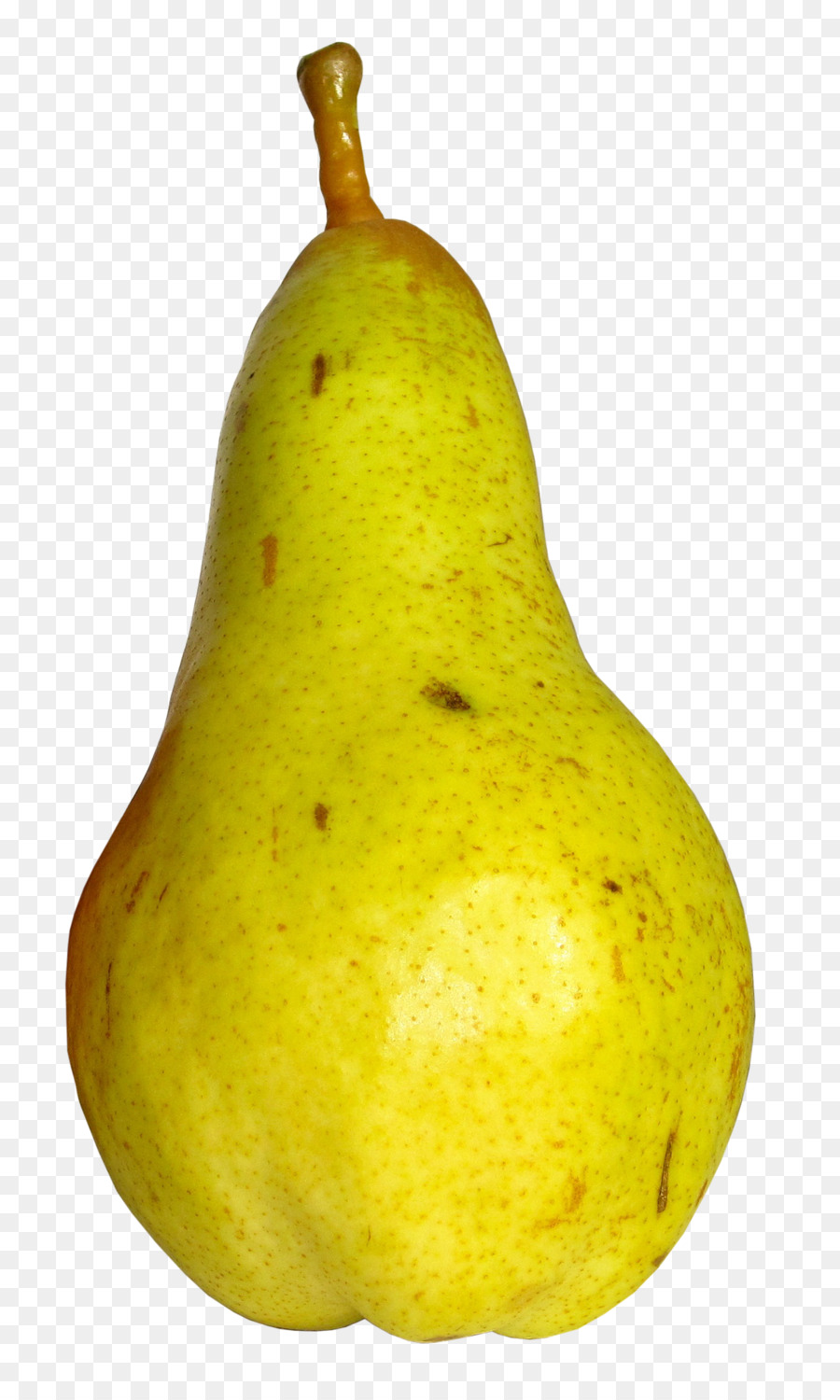 European pear Kiwifruit Food - pear png download - 1162*1920 - Free Transparent Pear png Download.