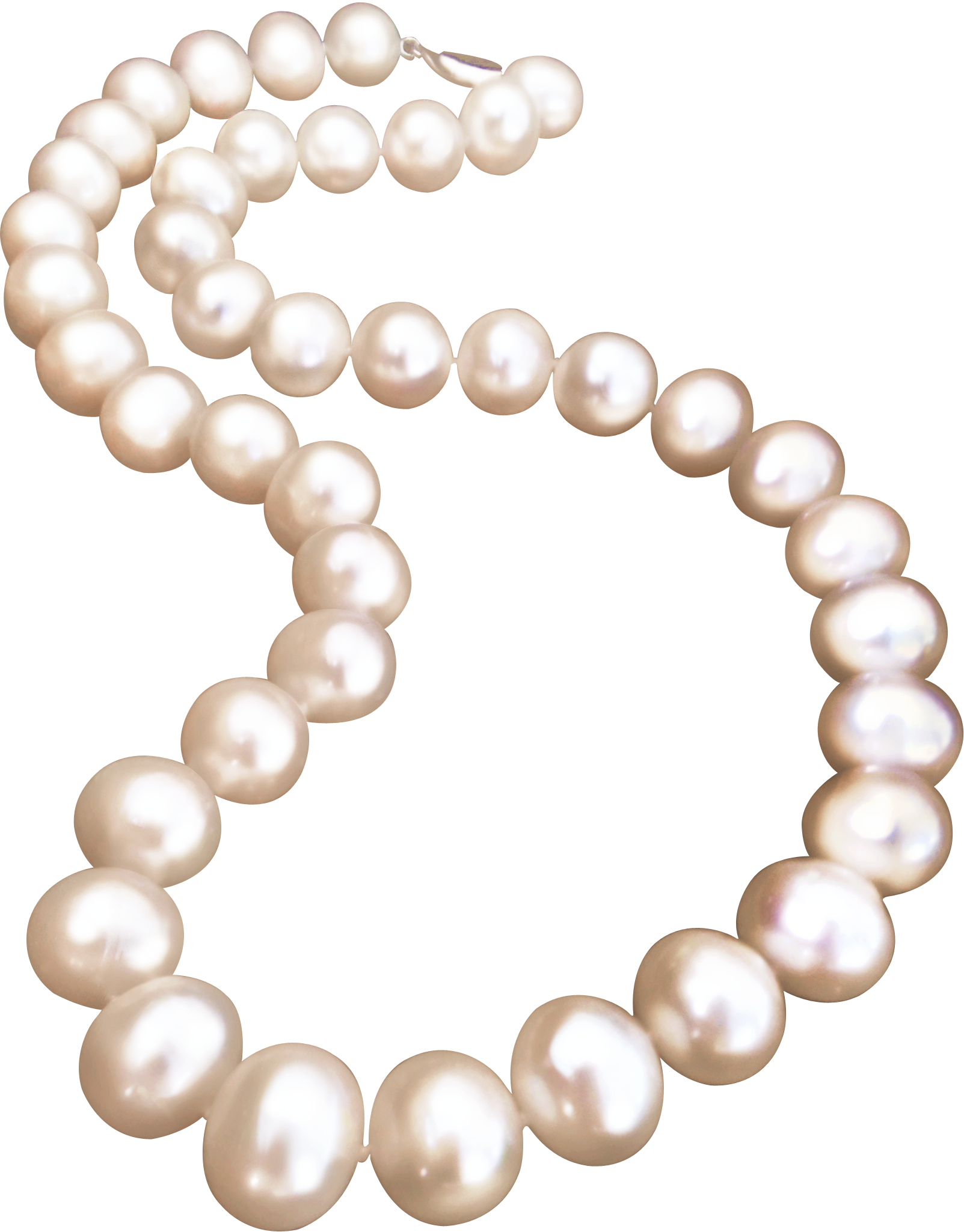 Pearl Necklace Png Free Logo Image | The Best Porn Website