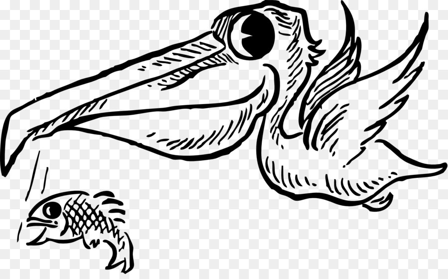 Bird Cartoon Brown pelican Clip art - Bird png download - 1920*1174 - Free Transparent Bird png Download.