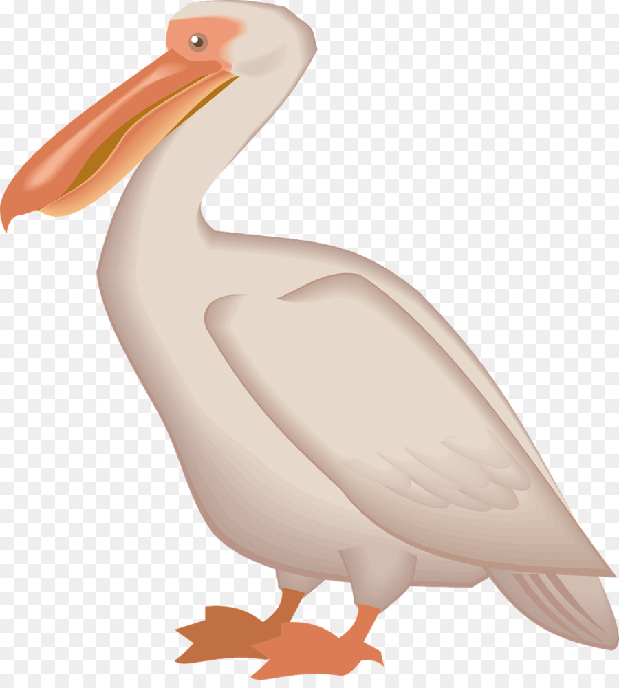Brown pelican Bird Clip art - ostrich png download - 1166*1280 - Free Transparent Brown Pelican png Download.