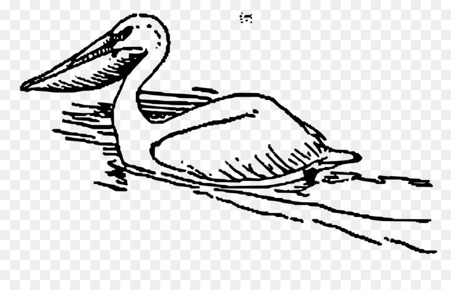Pelican Bird Clip art - Bird png download - 1000*630 - Free Transparent Pelican png Download.