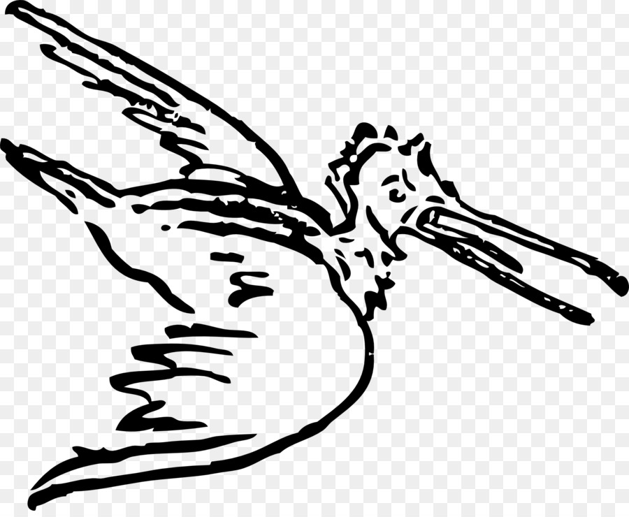 Bird flight Pelican Clip art - pelican png download - 1920*1559 - Free Transparent Bird png Download.