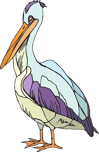 Pelican Clip art - others png download - 417*640 - Free Transparent ...