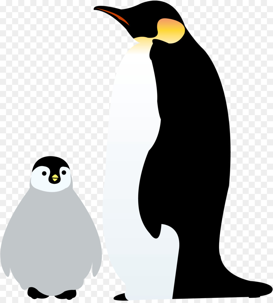Emperor penguin Antarctica Illustration Image -  png download - 3481*3840 - Free Transparent Penguin png Download.