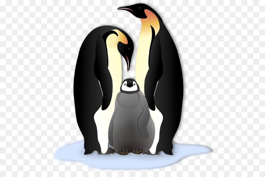 Emperor Penguin Free content Clip art - Penguins Clipart png download - 555*587 - Free Transparent Penguin png Download.