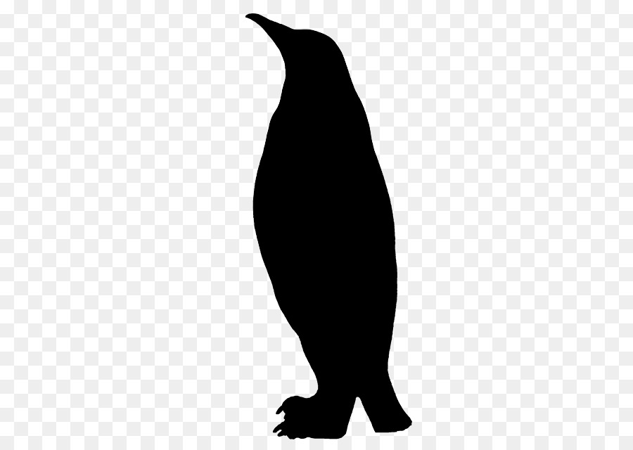 Penguin Clip art Fauna Silhouette Beak -  png download - 640*640 - Free Transparent Penguin png Download.