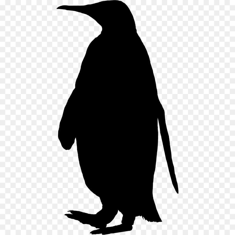 Penguin Clip art Fauna Silhouette Beak -  png download - 2526*2526 - Free Transparent Penguin png Download.