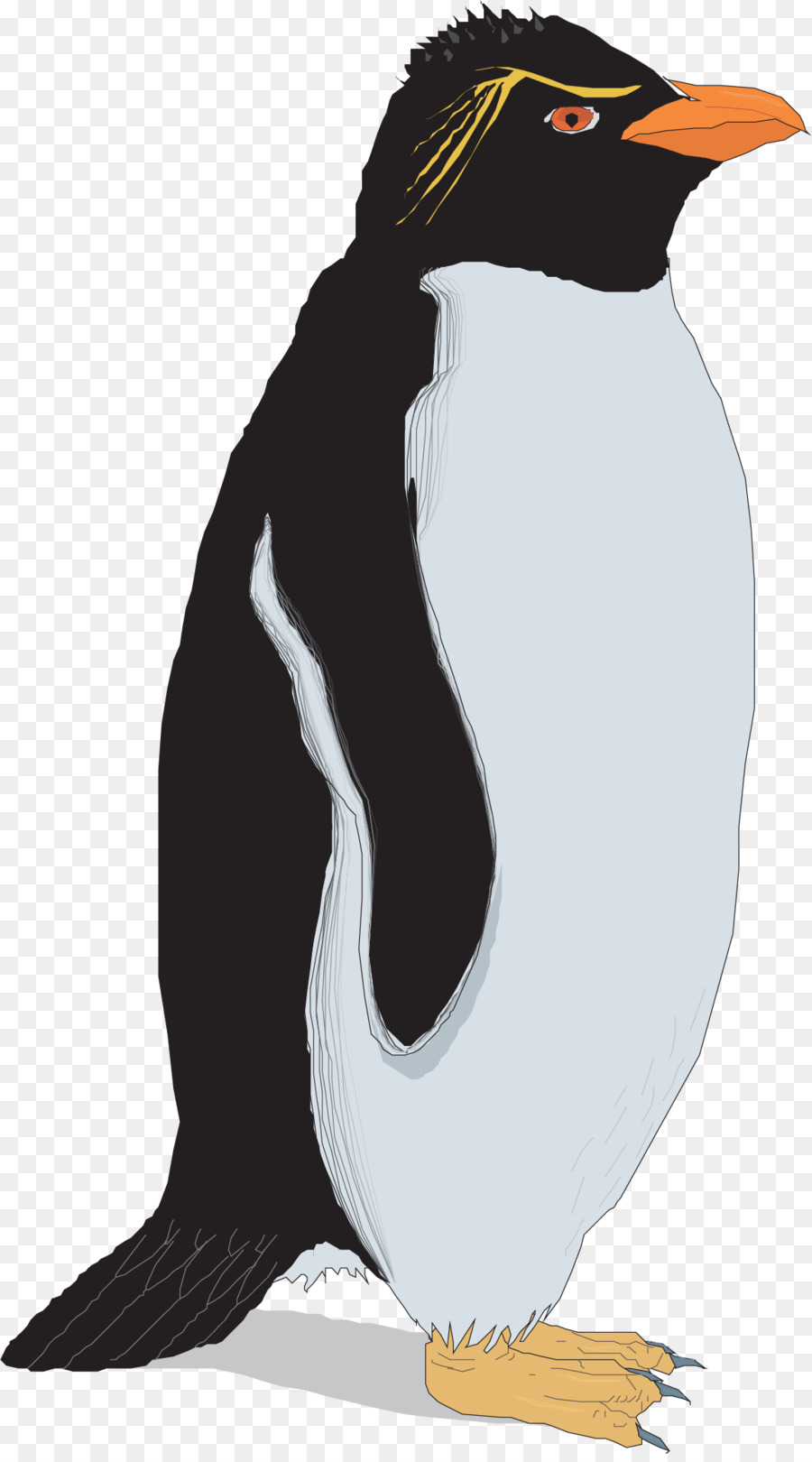 Rockhopper penguin Clip art - Vector hand painted penguins png download - 1153*2064 - Free Transparent Penguin png Download.