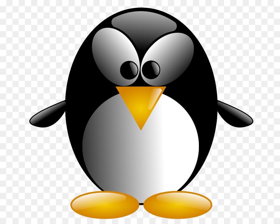 Penguin Vector graphics Clip art Image Bird - penguin png download - 800*720 - Free Transparent Penguin png Download.