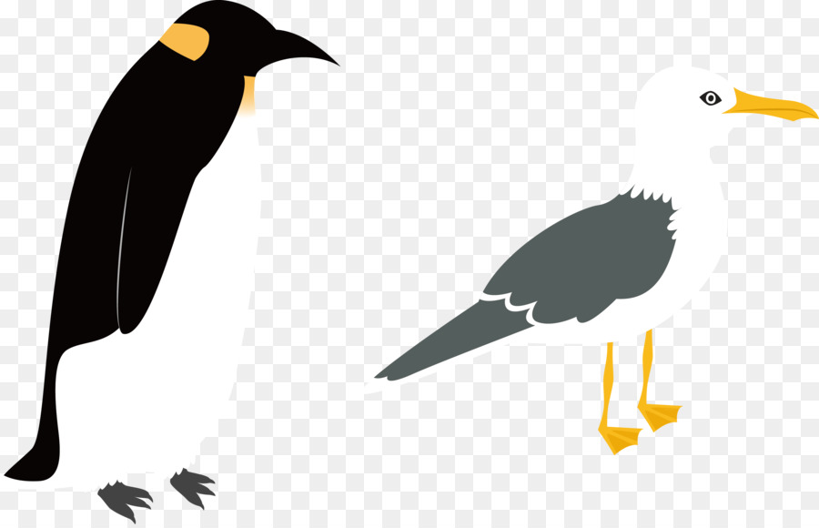 Penguin Bird - Penguin vector Birds png download - 3154*2019 - Free Transparent Penguin png Download.