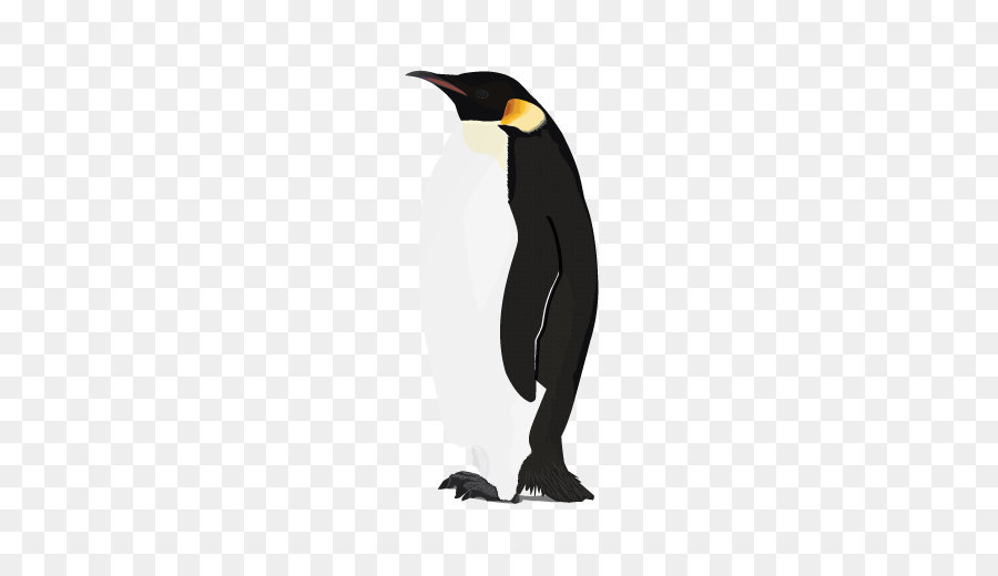 Penguin - Penguin PNG image png download - 600*520 - Free Transparent Penguin png Download.