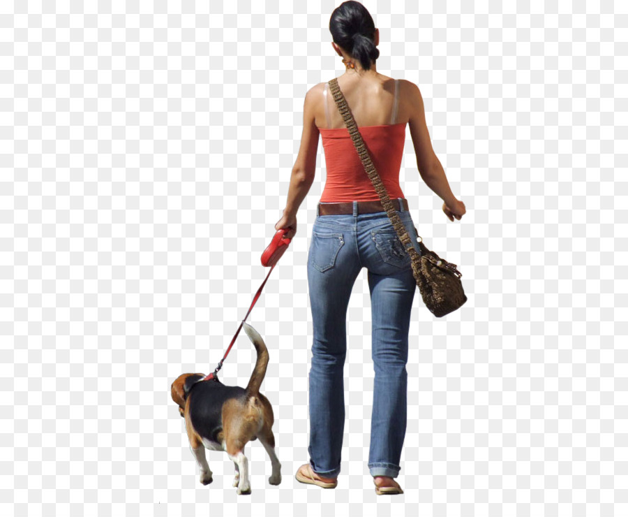 Dog walking Clip art - Photo Of People Walking png download - 721*721 - Free Transparent Walking png Download.