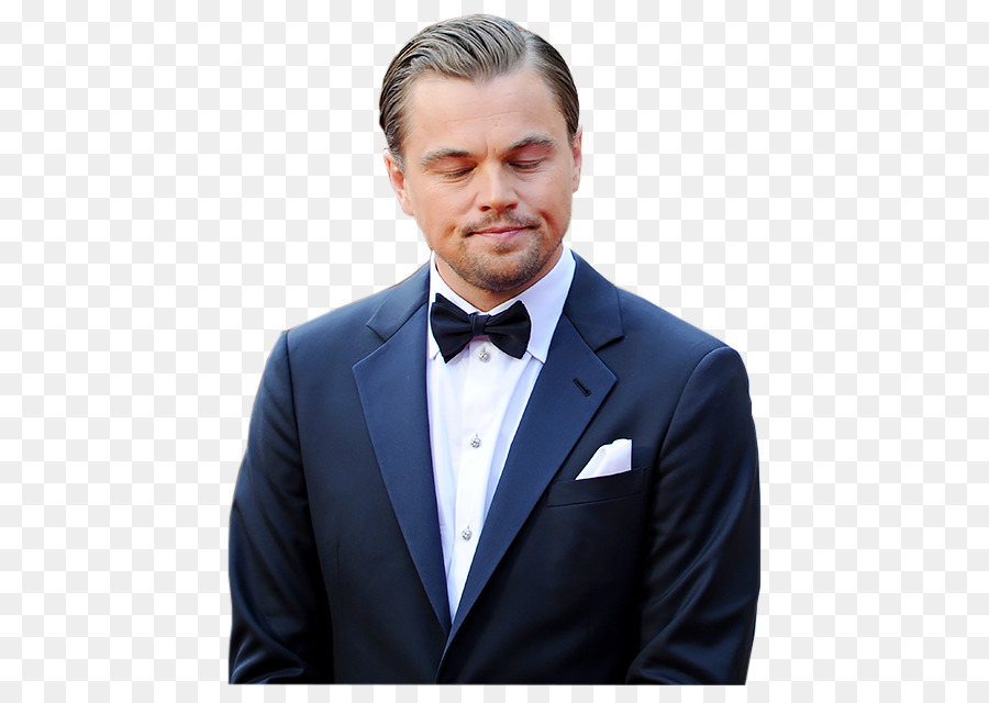 Leonardo DiCaprio Clip art - Leonardo DiCaprio Transparent Background png download - 500*624 - Free Transparent Leonardo Dicaprio png Download.