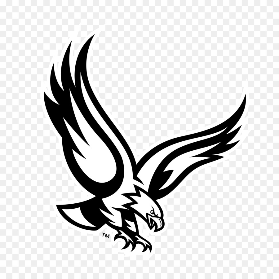 Philadelphia Eagles Bald Eagle - philadelphia eagles png download - 2400*2400 - Free Transparent Philadelphia Eagles png Download.