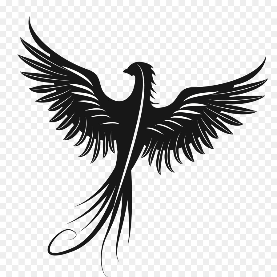 Eagle Silhouette Beak Feather Font - eagle png download - 2544*2544 - Free Transparent Eagle png Download.