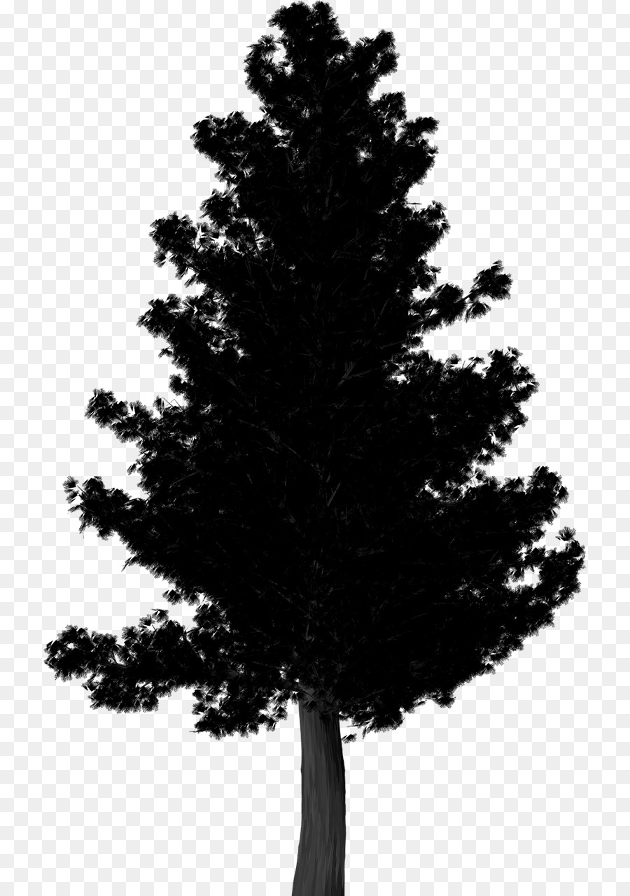 Pine Image Portable Network Graphics Clip art Illustration - Silhouette png download - 775*1280 - Free Transparent Pine png Download.
