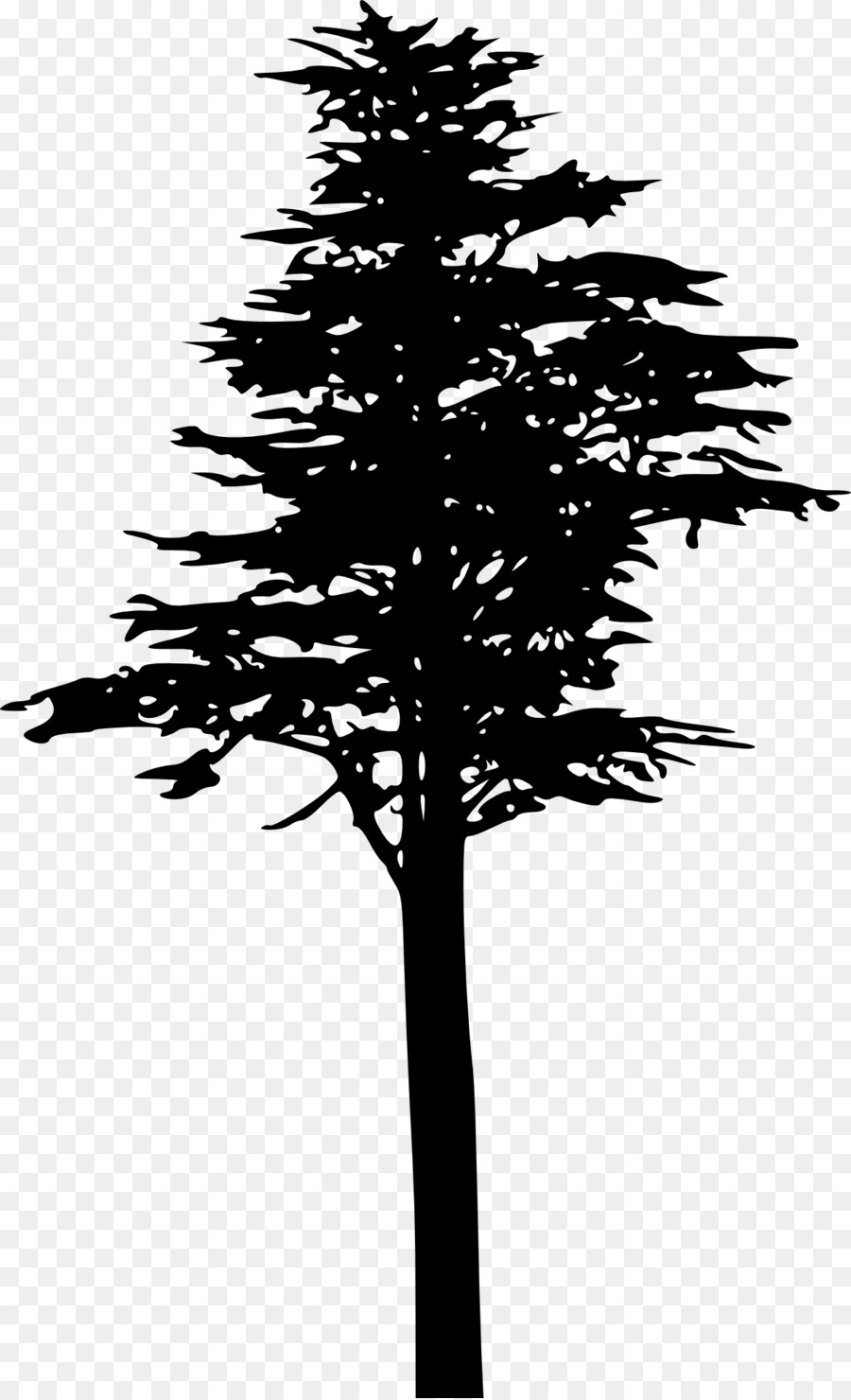 Tree Pinus contorta Silhouette Branch - coconut tree png download - 1218*2000 - Free Transparent Tree png Download.