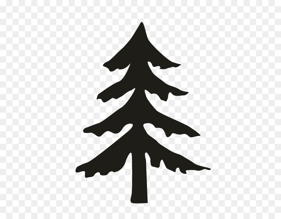 Fir Pine Spruce Christmas tree - Oakleaf Hydrangea png download - 696*696 - Free Transparent Fir png Download.
