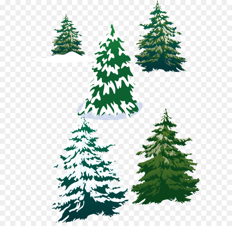 Vector snowy pine trees png download - 2558*3420 - Free Transparent Fir ai,png Download.