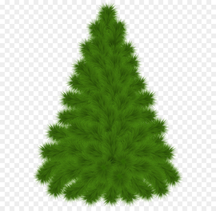 Pine Tree Clip art - Pine Tree PNG Clipart Picture png download - 3727*5000 - Free Transparent Pine png Download.