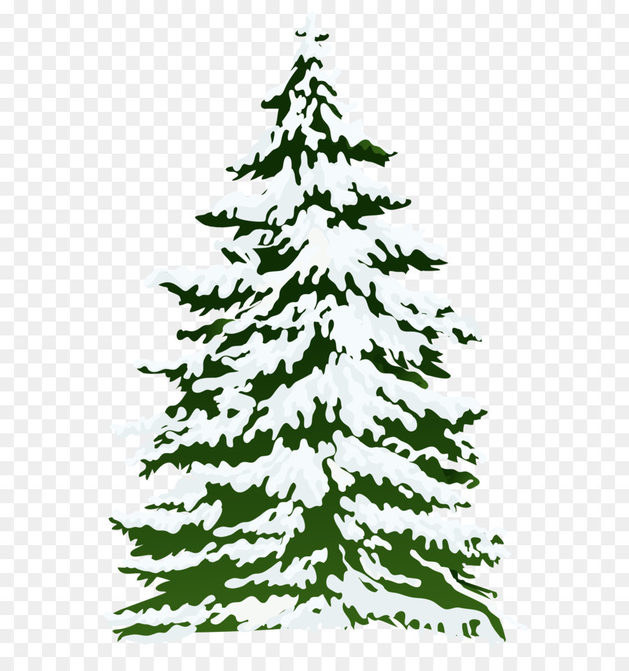 Pine Snow Tree Clip art - Winter Snowy Pine Tree PNG Clipart Image png download - 4402*6386 - Free Transparent Fir png Download.