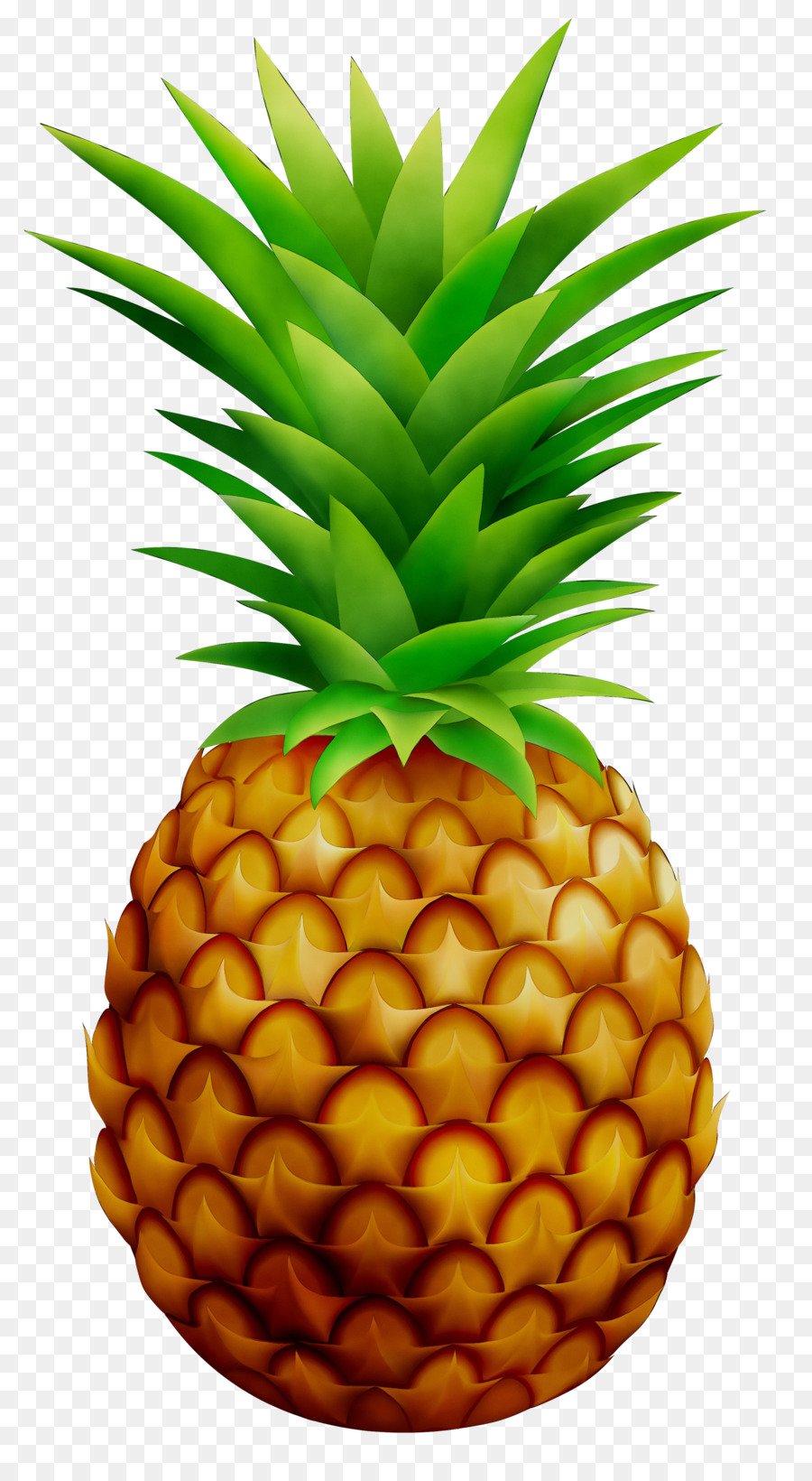 Pineapple cake Pineapple bun Portable Network Graphics Clip art - png ...