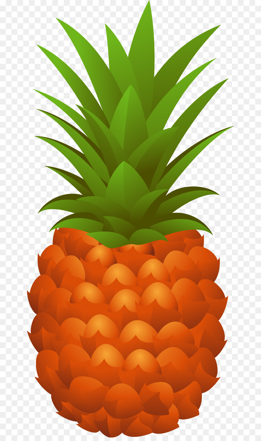 Pineapple Cdr - Vector pineapple png download - 715*1508 - Free Transparent Pineapple png Download.