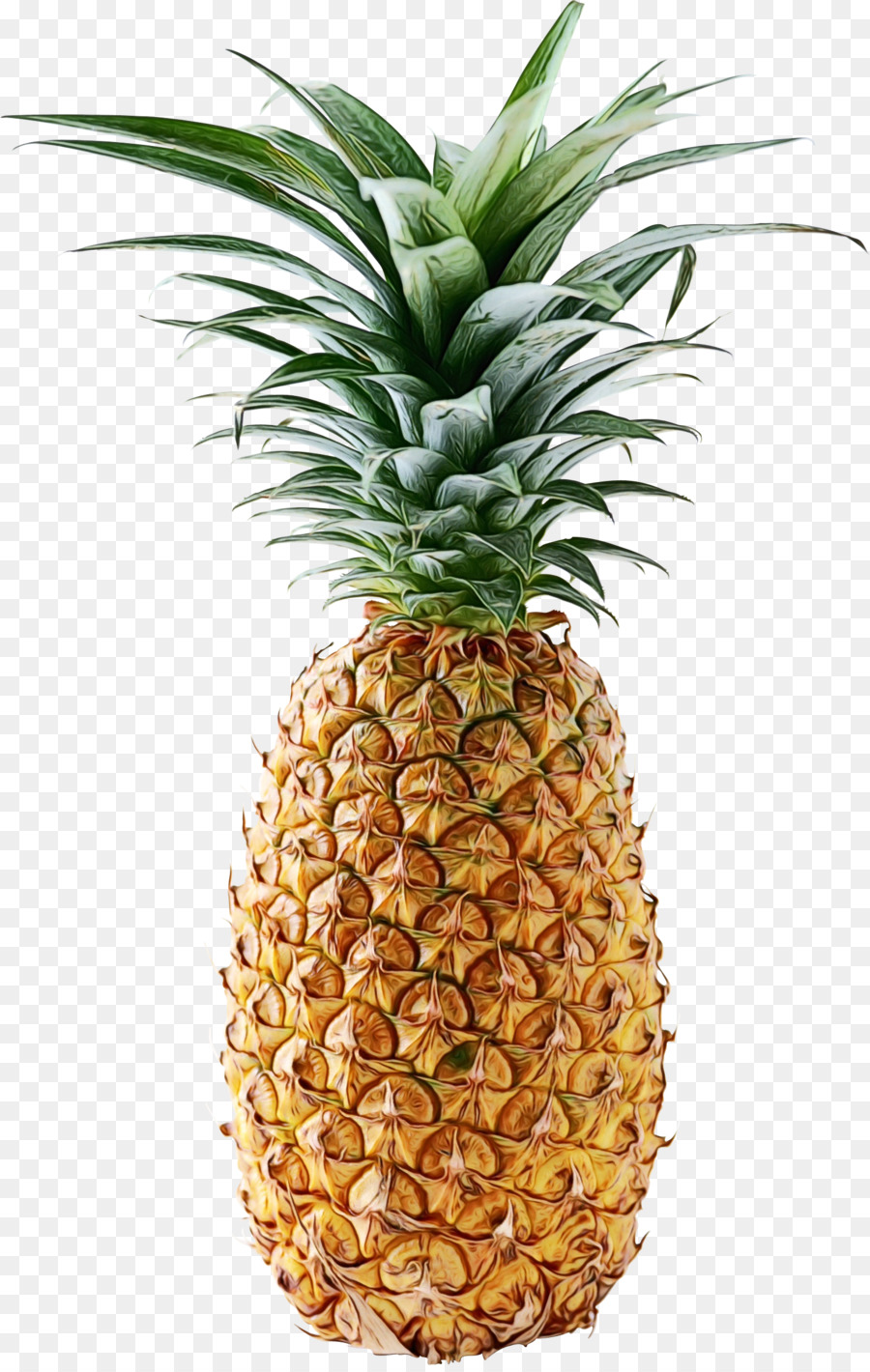 Pineapple cake Portable Network Graphics Clip art Transparency -  png download - 1555*2441 - Free Transparent Pineapple png Download.