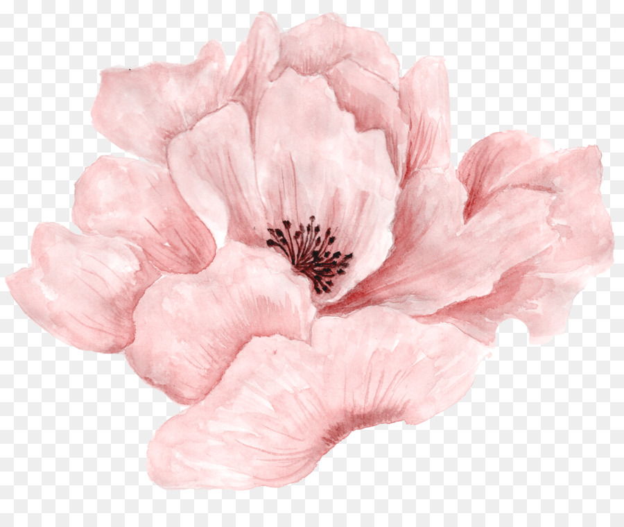 Pink flowers Portable Network Graphics Rose Image - flower png download - 2523*2092 - Free Transparent Pink Flowers png Download.