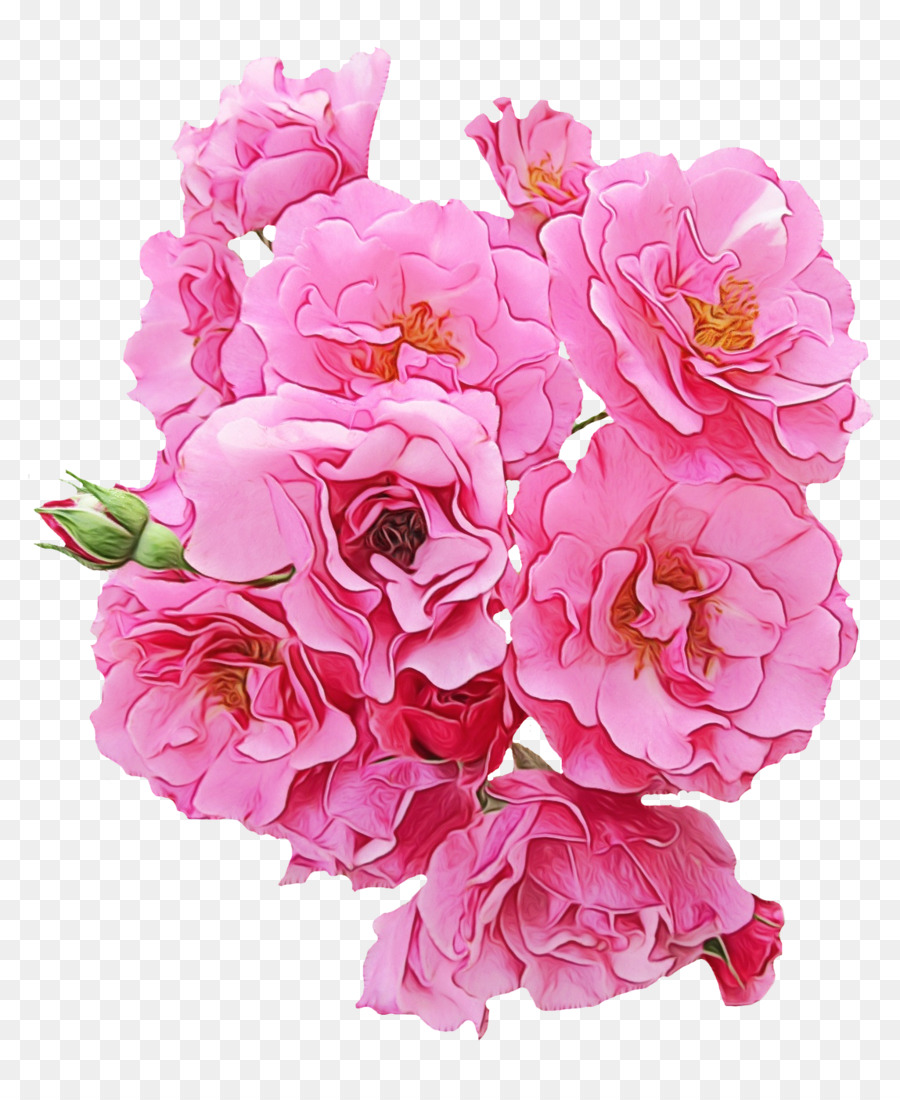 Portable Network Graphics Rose Flower Clip art Image -  png download - 1150*1382 - Free Transparent Rose png Download.