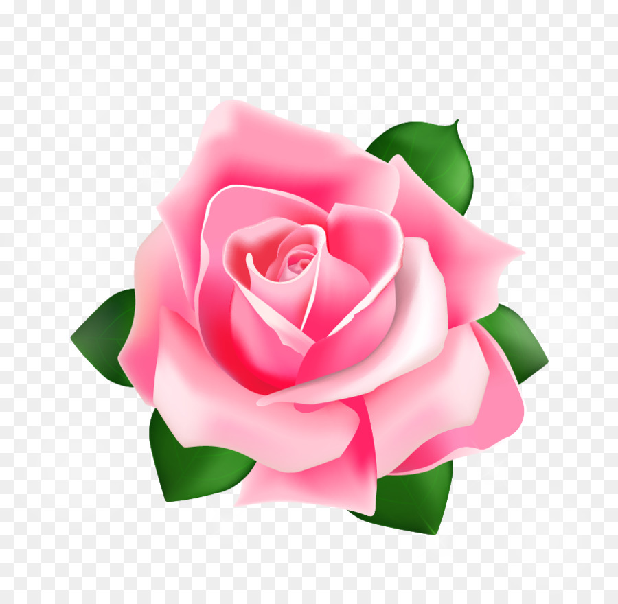 Rose Pink - Rose Vector png download - 907*881 - Free Transparent Rose png Download.