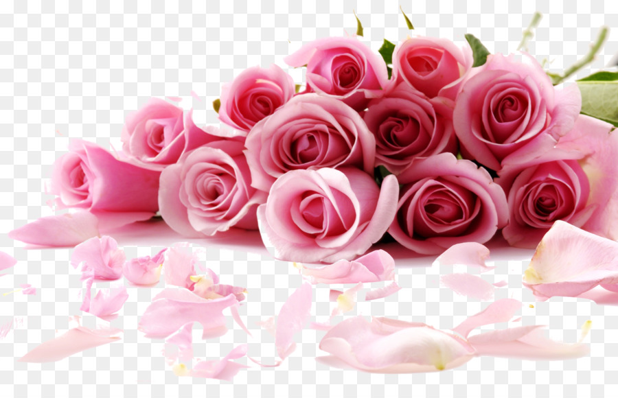 Rose Flower Desktop Wallpaper stock.xchng Pink - rose png download - 1440*900 - Free Transparent Rose png Download.