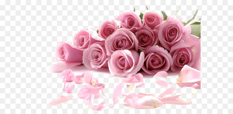 Rose Flower Wallpaper - Romantic bouquet of pink roses png download - 1537*1015 - Free Transparent Flower png Download.