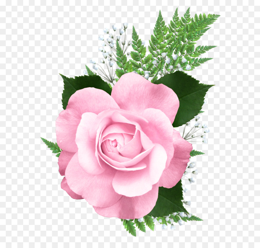 Rose Pink Clip art - pink rose png download - 673*845 - Free Transparent Rose png Download.