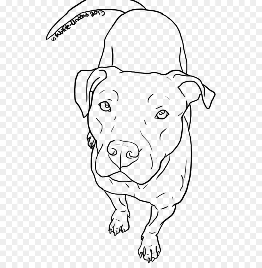 American Pit Bull Terrier Drawing Line art - pitbull png download - 585*905 - Free Transparent Pit Bull png Download.