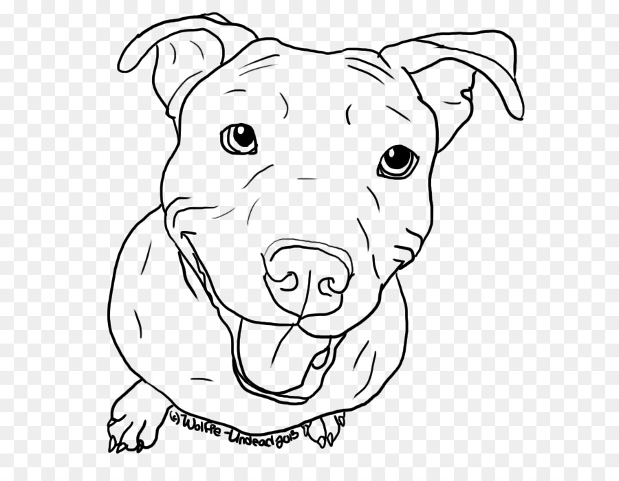 American Pit Bull Terrier Puppy Drawing Line art - pitbull png download - 629*700 - Free Transparent Pit Bull png Download.