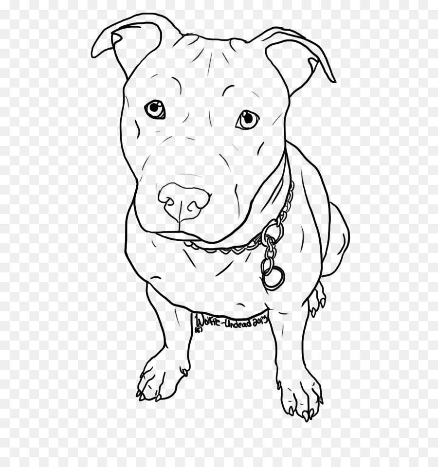 American Pit Bull Terrier Puppy Drawing - pitbull png download - 640*960 - Free Transparent Pit Bull png Download.