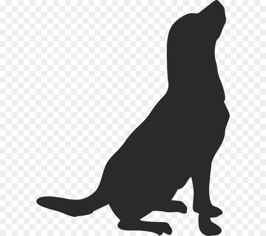 Whiskers American Pit Bull Terrier Drawing Clip art - Silhouette png download - 800*800 - Free Transparent Whiskers png Download.