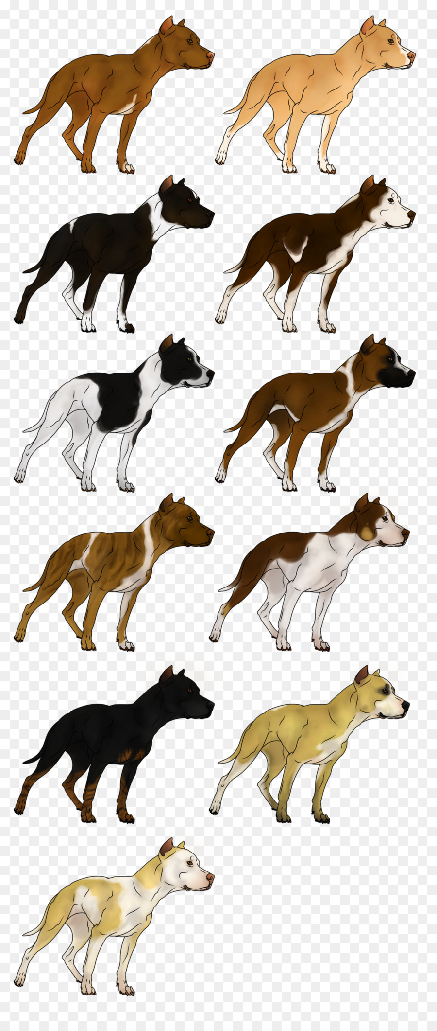 American Pit Bull Terrier American Bulldog Game - pitbull png download - 1024*2400 - Free Transparent American Pit Bull Terrier png Download.
