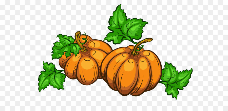 Thanksgiving Animation Giphy Clip art - Transparent Pumpkins PNG Clipart Picture png download - 4031*2682 - Free Transparent Thanksgiving png Download.