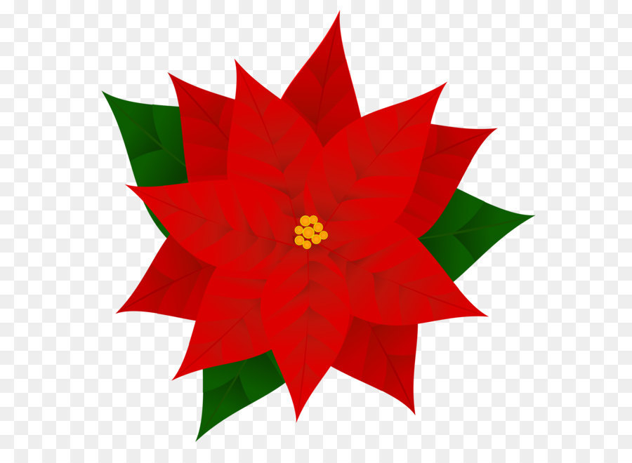 Poinsettia Christmas Clip art - Poinsettia PNG Clipart Image png download - 6032*6019 - Free Transparent Poinsettia png Download.