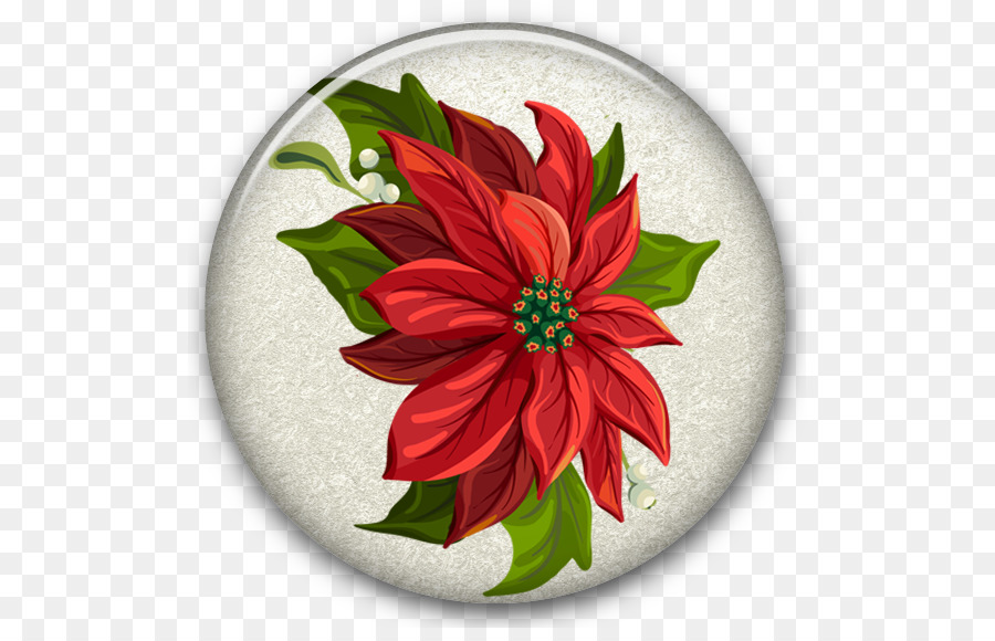 Poinsettia Christmas Wreath Clip art - Water droplets fall on flowers png download - 559*568 - Free Transparent Poinsettia png Download.