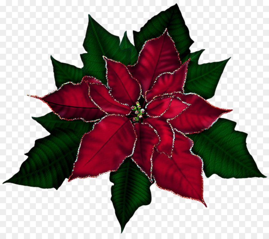 Poinsettia Christmas Clip art - Poinsettia Cliparts png download - 913*799 - Free Transparent Poinsettia png Download.