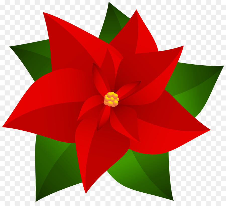 Poinsettia Christmas Clip art - christmas png download - 8000*7205 - Free Transparent Poinsettia png Download.