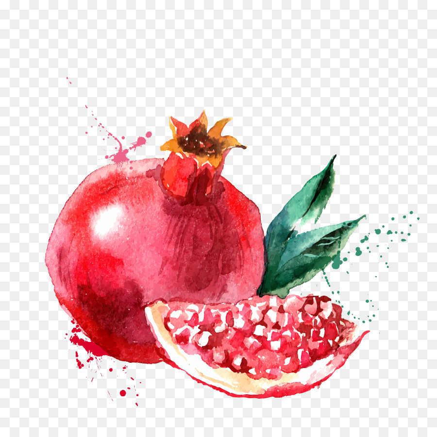 Pomegranate juice Drawing Clip art - pomegranate png download - 886*886 - Free Transparent Pomegranate Juice png Download.
