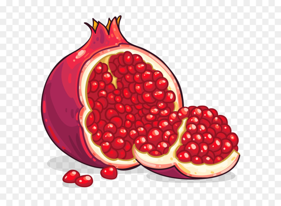Pomegranate Clip art - Pomegranate PNG image png download - 1024*1024 - Free Transparent Mediterranean Basin png Download.