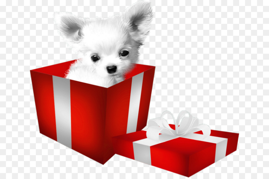 Pomeranian Puppy Dog breed Clip art - puppy png download - 700*595 - Free Transparent Pomeranian png Download.