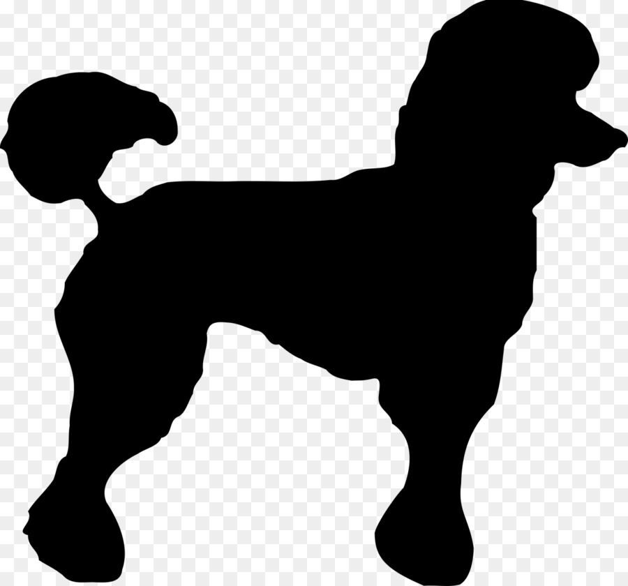 Poodle Village Groomer Clip art - poodle Dog png download - 1280*1194 - Free Transparent Poodle png Download.