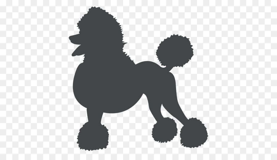 Standard Poodle Clip art Miniature Poodle Puppy - puppy png download - 512*512 - Free Transparent Poodle png Download.